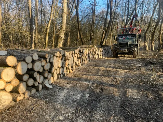 Fakitermelés, rakodás saját daruval
